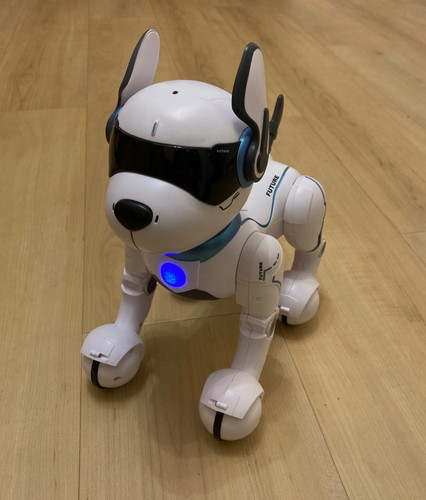 Ziggy the robo dog - the,
