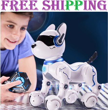 Ziggy the Robo Dog Interactive