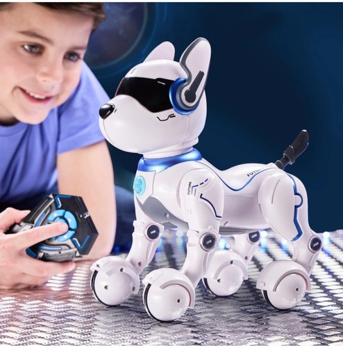 Ziggy the robo dog - the,