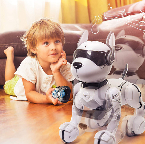 Ziggy interactive robot - interactive,
