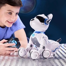 Ziggy the Robo Dog – Remote