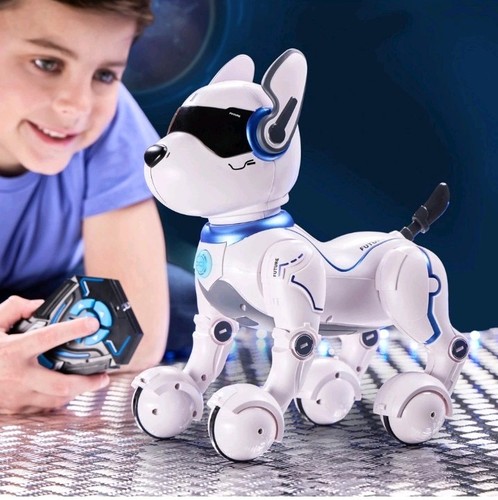 Ziggy the robo - ziggy, dog