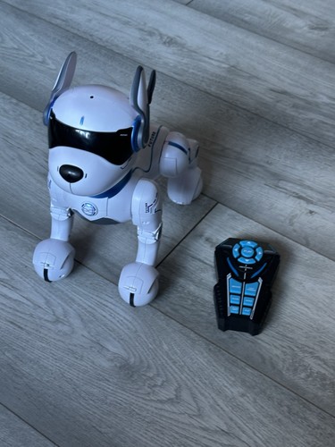 Ziggy the robo - ziggy, interactive