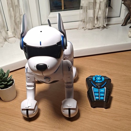 Ziggy the robo - ziggy, remote