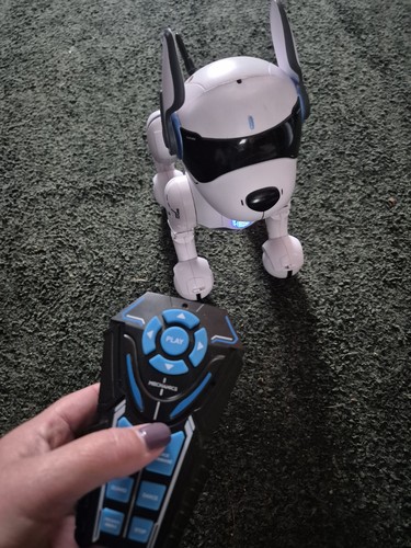 Ziggy the robo - robo, dog