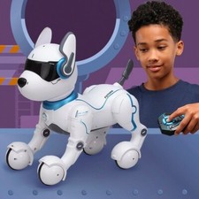 Ziggy the Robo Dog Kids