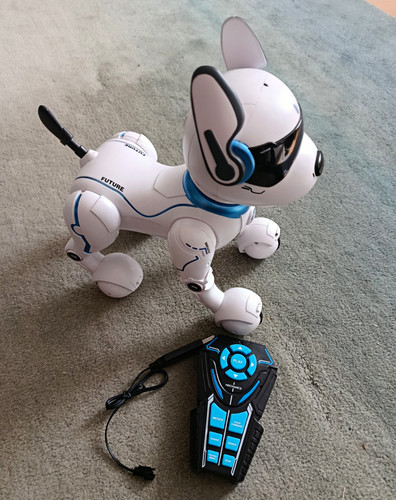 Ziggy the robot - robot, remote